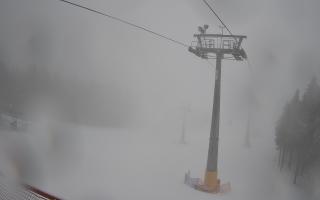 Zieleniec - Winterpol - 16-03-2026 09:01