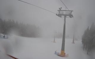 Zieleniec - Winterpol - 16-03-2026 09:22