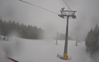 Zieleniec - Winterpol - 16-03-2026 09:29