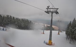 Zieleniec - Winterpol - 16-03-2026 10:11