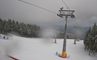 Zieleniec - Winterpol - 16-03-2026 10:18