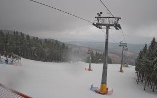 Zieleniec - Winterpol - 16-03-2026 11:08