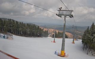 Zieleniec - Winterpol - 16-03-2026 11:43