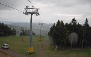 Zieleniec - Winterpol - 13-05-2026 11:18