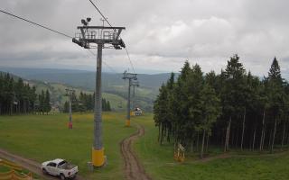 Zieleniec - Winterpol - 15-06-2026 09:47