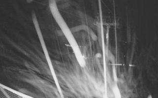 Zieleniec - Winterpol - 31-07-2026 20:22