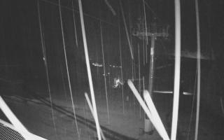 Zieleniec - Winterpol - 31-07-2026 20:29