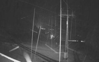 Zieleniec - Winterpol - 31-07-2026 21:04