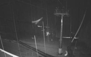 Zieleniec - Winterpol - 31-07-2026 21:11