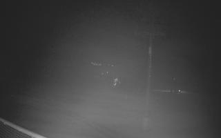 Zieleniec - Winterpol - 01-08-2026 20:18