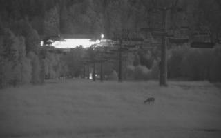 Wisła Nowa Osada górna stacja - 17-06-2025 19:45