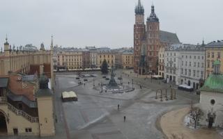 Kraków - Wentzl - 31-01-2026 08:44