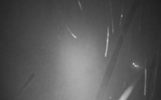 Zwardoń ski górna stacja - 29-01-2026 03:58