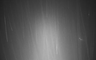 Zwardoń ski górna stacja - 29-01-2026 04:14