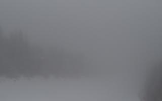 Zwardoń ski górna stacja - 29-01-2026 06:22