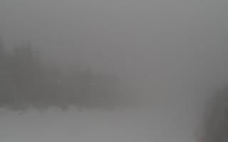 Zwardoń ski górna stacja - 29-01-2026 06:38