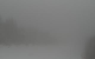 Zwardoń ski górna stacja - 29-01-2026 07:10