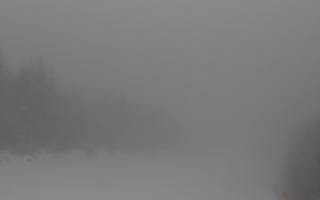 Zwardoń ski górna stacja - 29-01-2026 07:42