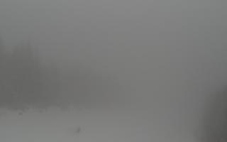 Zwardoń ski górna stacja - 29-01-2026 08:15