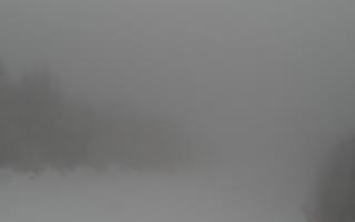 Zwardoń ski górna stacja - 29-01-2026 08:47