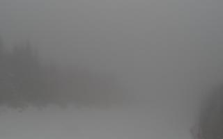 Zwardoń ski górna stacja - 29-01-2026 09:51