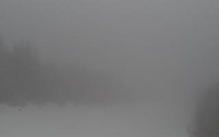 Zwardoń ski górna stacja - 29-01-2026 10:07