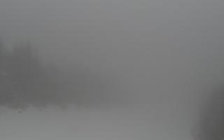 Zwardoń ski górna stacja - 29-01-2026 10:23