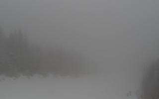 Zwardoń ski górna stacja - 29-01-2026 10:39