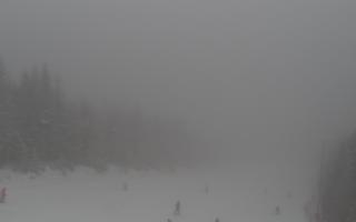 Zwardoń ski górna stacja - 29-01-2026 11:43