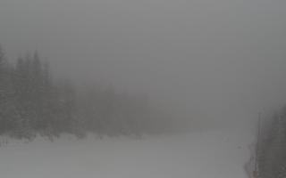 Zwardoń ski górna stacja - 29-01-2026 13:04