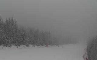 Zwardoń ski górna stacja - 29-01-2026 13:36