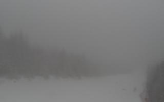 Zwardoń ski górna stacja - 29-01-2026 14:40