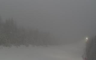 Zwardoń ski górna stacja - 29-01-2026 14:56