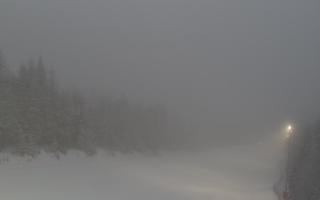 Zwardoń ski górna stacja - 29-01-2026 15:12