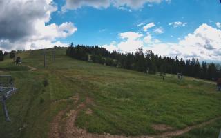 Czarna Góra Grapa ski Dolna Stac - 17-06-2026 12:44