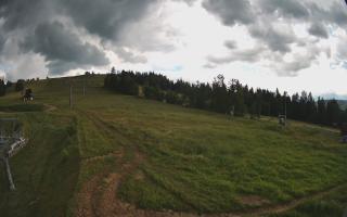 Czarna Góra Grapa ski Dolna Stac - 17-06-2026 12:59