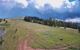 Czarna Góra Grapa ski Dolna Stac - 17-06-2026 13:27