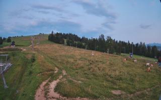 Czarna Góra Grapa ski Dolna Stac - 01-08-2026 18:41