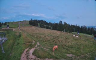 Czarna Góra Grapa ski Dolna Stac - 01-08-2026 18:48