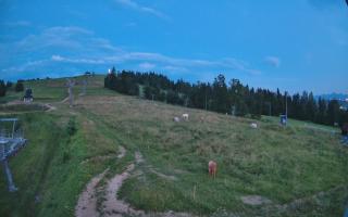 Czarna Góra Grapa ski Dolna Stac - 01-08-2026 18:55