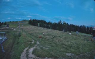 Czarna Góra Grapa ski Dolna Stac - 01-08-2026 19:02