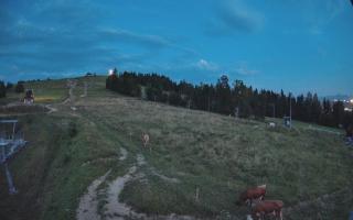 Czarna Góra Grapa ski Dolna Stac - 01-08-2026 19:09