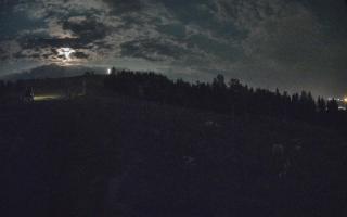 Czarna Góra Grapa ski Dolna Stac - 01-08-2026 21:10