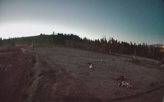 Czarna Góra Grapa ski Dolna Stac - 17-10-2026 04:18