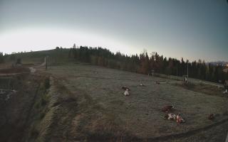 Czarna Góra Grapa ski Dolna Stac - 17-10-2026 04:26
