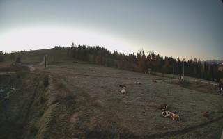 Czarna Góra Grapa ski Dolna Stac - 17-10-2026 04:33