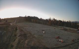 Czarna Góra Grapa ski Dolna Stac - 17-10-2026 04:40