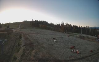 Czarna Góra Grapa ski Dolna Stac - 17-10-2026 04:47