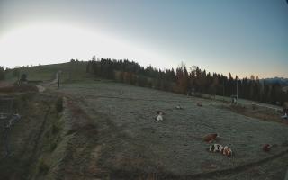 Czarna Góra Grapa ski Dolna Stac - 17-10-2026 04:54