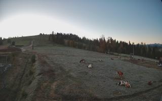 Czarna Góra Grapa ski Dolna Stac - 17-10-2026 05:01